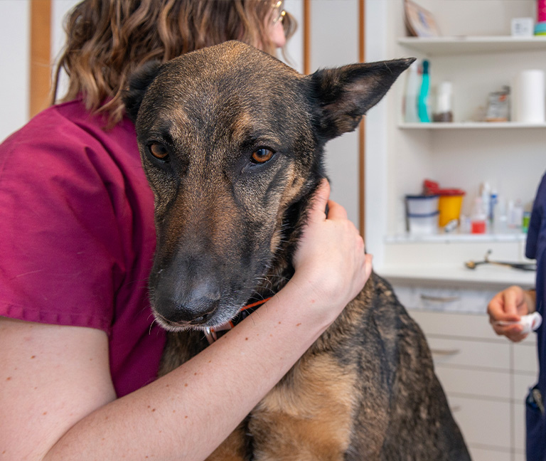 Banques de donn&eacute;es nationales