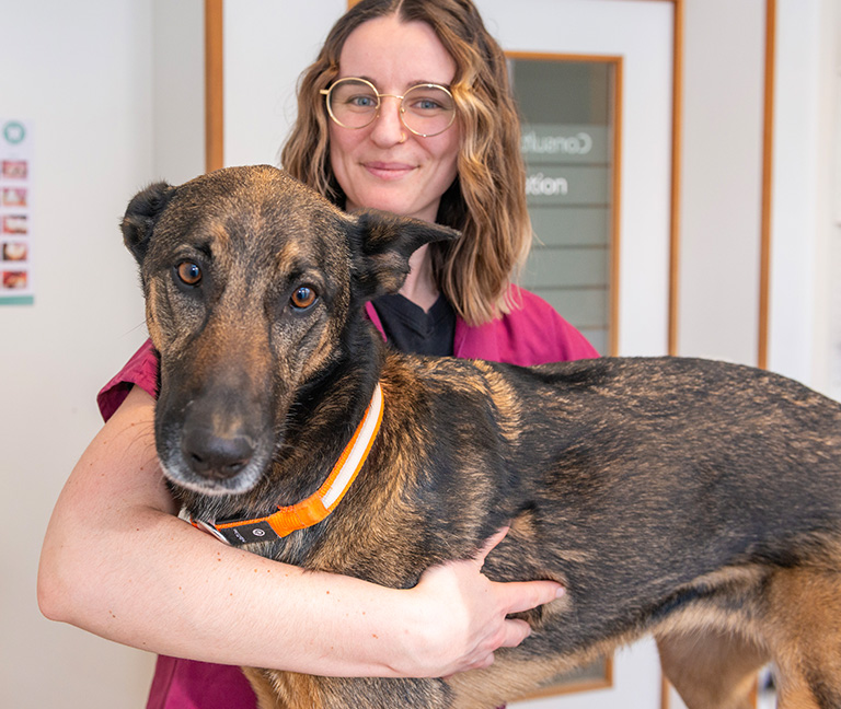 Consultations & m&eacute;decine interne