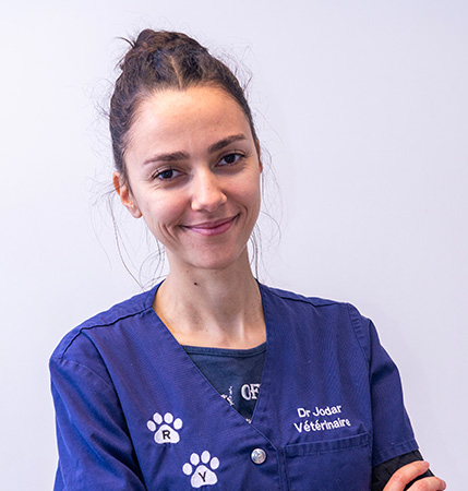 Dr Sarah Jodar