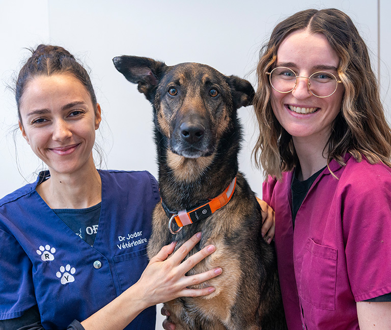 Opportunit&eacute;s vari&eacute;es