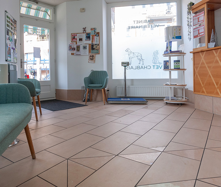 Prise en charge en journ&eacute;e